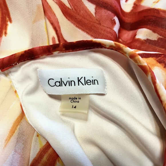 Calvin Klein, Sheer Floral Seath Dress, Fully Lined, Size 14, NWOT - Picture 7 of 11